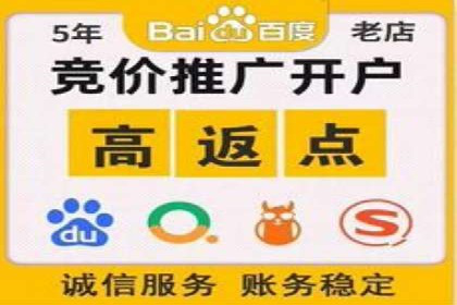 解析SEM竞价代运营的成功要素及案例